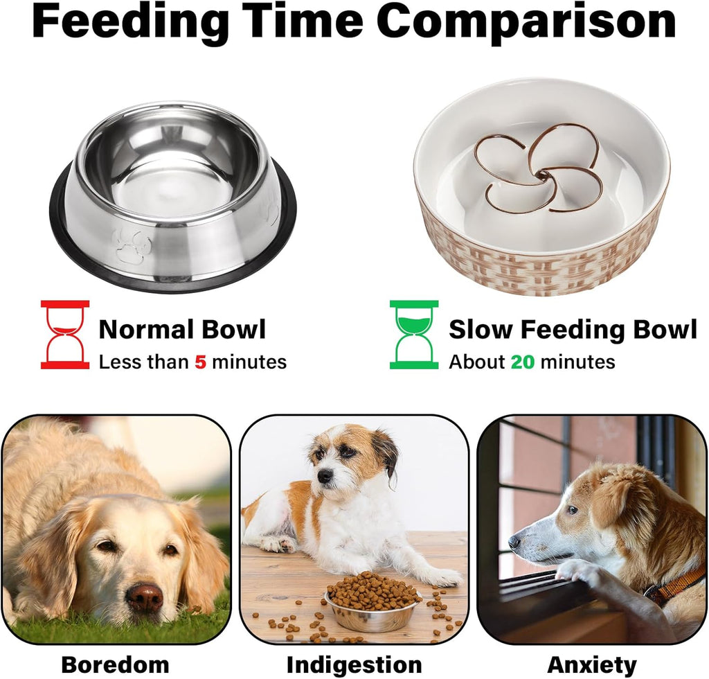 Ceramic slow feeder dog bowl with maze design