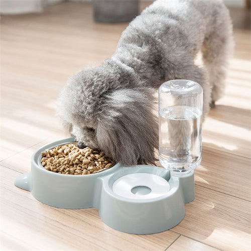 Ceramic pet food bowl for cats and dogs
