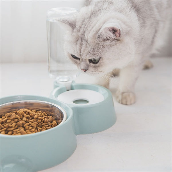 Ceramic pet food bowl for cats and dogs