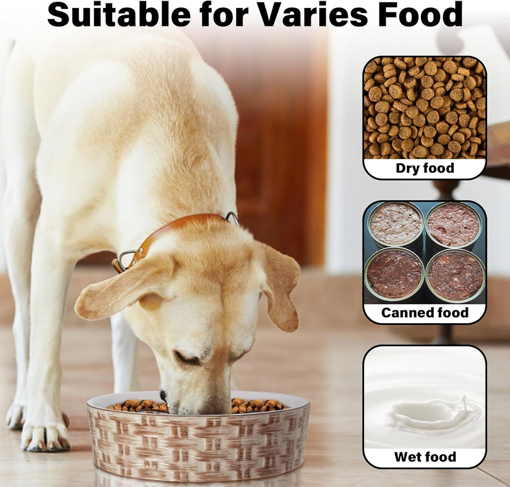 Ceramic slow feeder dog bowl with maze design