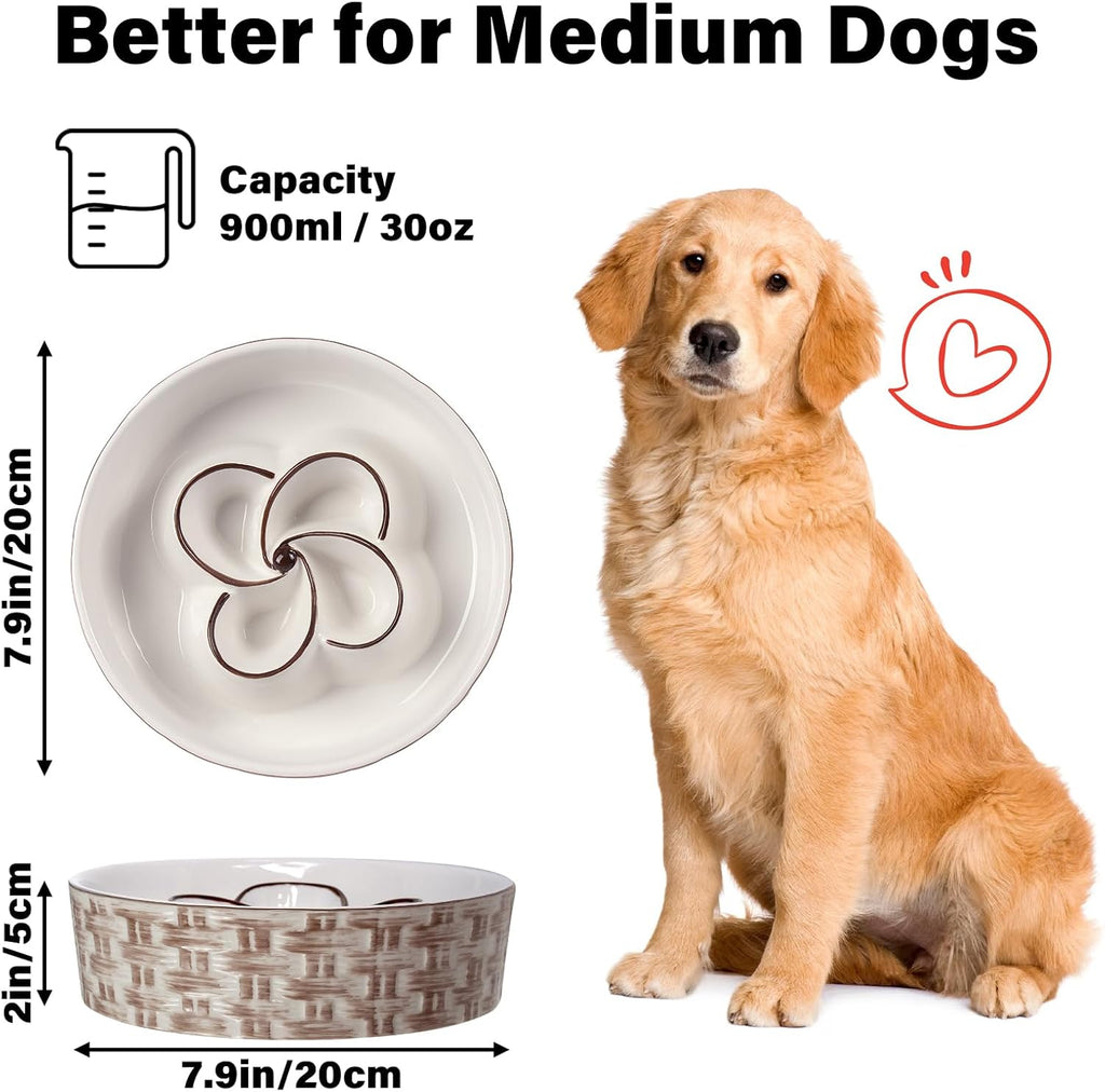 Ceramic slow feeder dog bowl with maze design