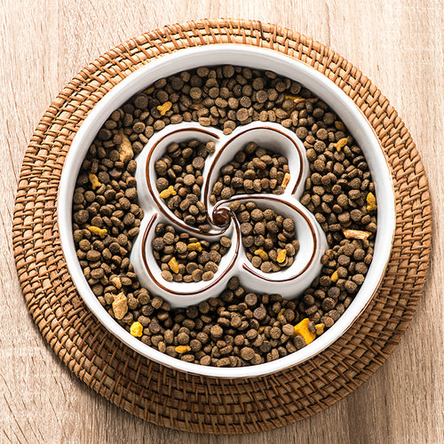 Ceramic slow feeder dog bowl with maze design