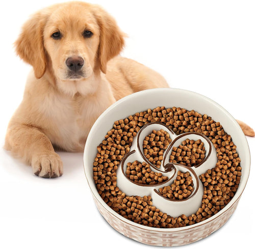 Ceramic slow feeder dog bowl with maze design