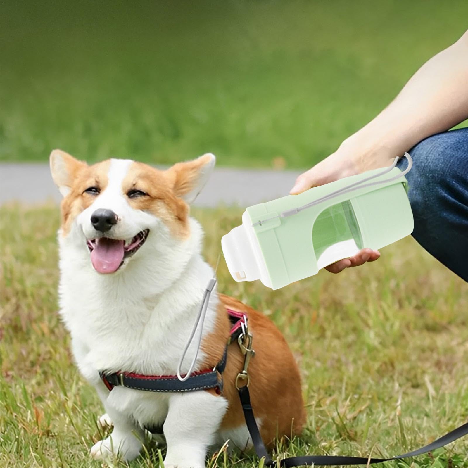 Travel dog water and food bottle with leak-proof design