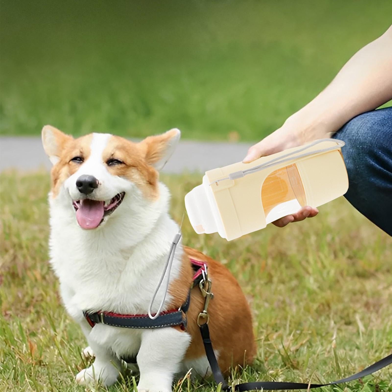 Travel dog water and food bottle with leak-proof design