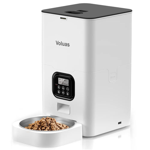 Automatic pet feeder with dual power supply showcasing a digital timer and dry kibble storage.