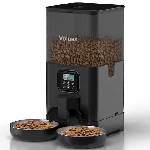 Automatic pet feeder with dual power supply showcasing a digital timer and dry kibble storage.